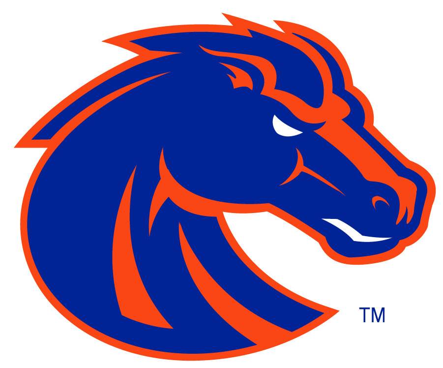 Boise State Broncos 2002-2012 Secondary Logo v6 iron on transfers for T-shirts